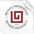 جامعة بيكوز