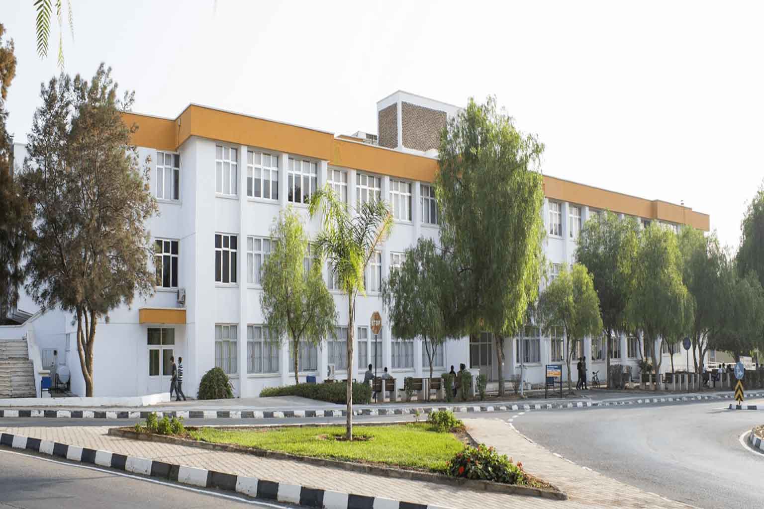 منحة جامعة شرق البحر المتوسط