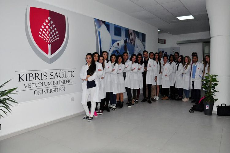 Best majors to study in Turkey