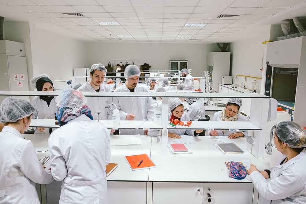 Best majors to study in Turkey