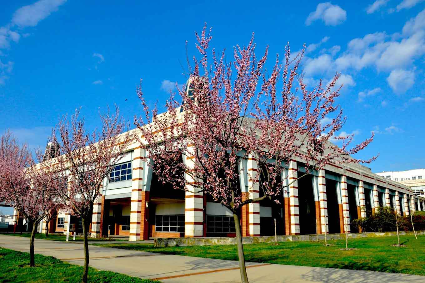 register at Sabancı University